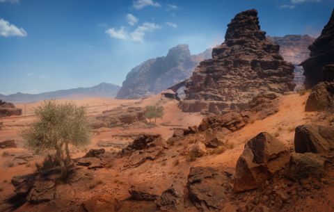 sinai desert