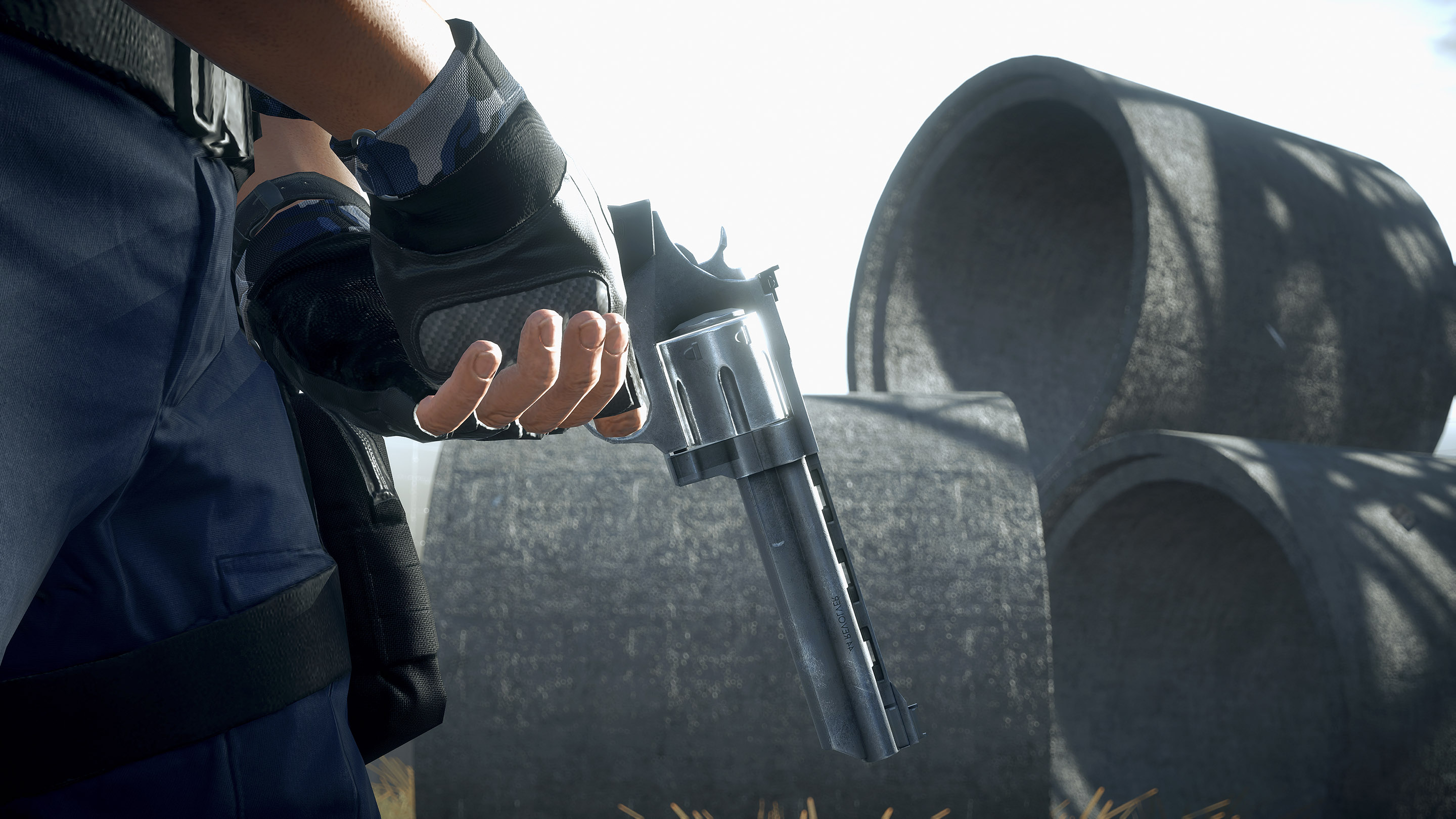 20150813_BFH_44Mag_org