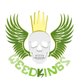 want to say anything ,just nothing to say意思