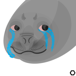 Russianbadger Seal