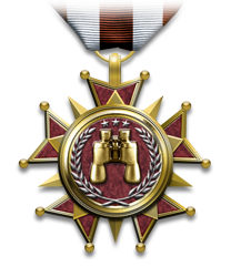 medals_distinguishedintelligencemedal.png