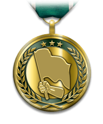 medals_leadhomerunmedal.png