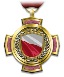 medals_valorousunitmedal_pl.png