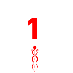 Battlelog emblem zzzz1Z1zzzz