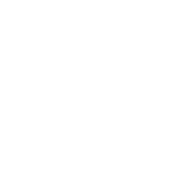 Battlelog emblem SkydiversPiggy
