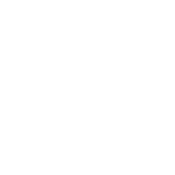 Battlelog emblem partisan51