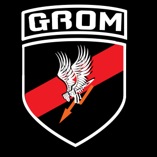 G r o m. Эмблема Гром. Эмблемы польского спецназа. Шеврон Grom. Польский спецназ Гром нашивка.