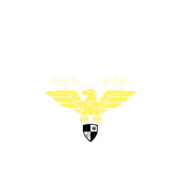Battlelog emblem HAmDY-169