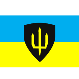 Battlelog emblem metrocop17
