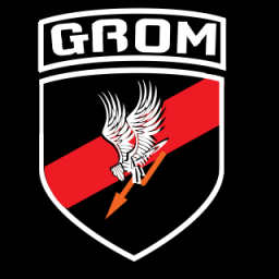 Battlelog emblem Gromowiec-2305