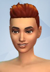 the sims 4 get to work mac