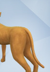THE SIMS 4 Expansão CATS & DOGS [Download Digital] PC - Catalogo   Mega-Mania A Loja dos Jogadores - Jogos, Consolas, Playstation, Xbox,  Nintendo