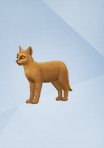 origin sims 4 cats and dogs