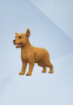 THE SIMS 4 Expansão CATS & DOGS [Download Digital] PC - Catalogo   Mega-Mania A Loja dos Jogadores - Jogos, Consolas, Playstation, Xbox,  Nintendo