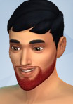 Pack Expansão PC The Sims 4: Growing Together (Código de Descarga na Caixa)