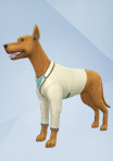 Buy The Sims™ 4 Cats and Dogs Plus My First Pet Stuff Bundle