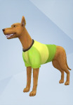 The Sims 4: como resgatar o pacote Meu Primeiro Bichinho de graça - Beat98