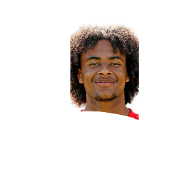 Zirkzee Fifa Mobile 21 Fifarenderz