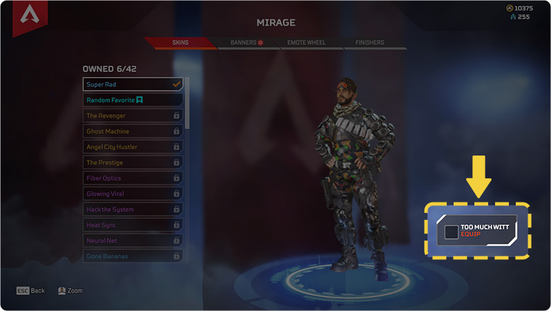 Heirloom or Prestige items appear with an Equip checkbox in the Skins tab from your Loadout.