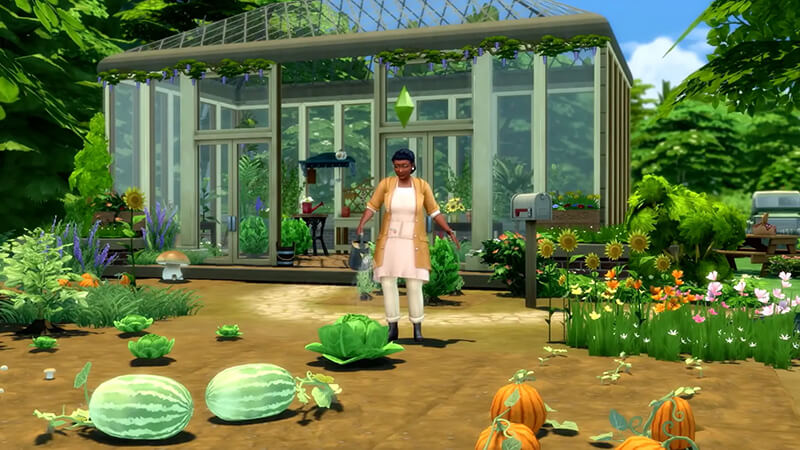 A Sim using a watering can to water their cabbage plant outside their greenhouse.