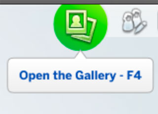 The Open Gallery option.