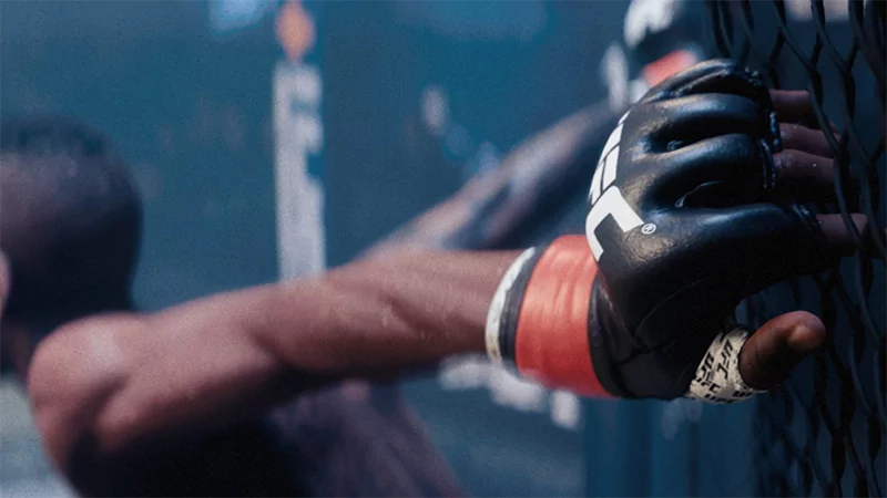 An image of a UFC boxing glove on the sides of the ring.